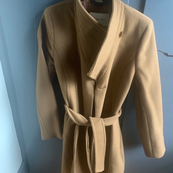 Aritzia Babaton Virgin wool coat - Picture 7 of 7